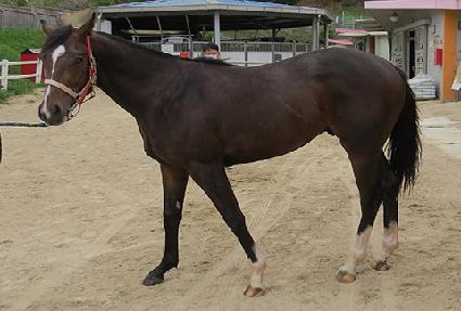 �����ѳ��� ����