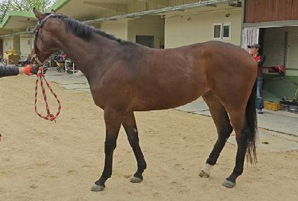 ������ģ�� ����