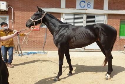 ���п��� ����