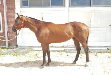 ���丮���� ����