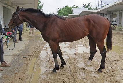 ŷ����ƾ ����