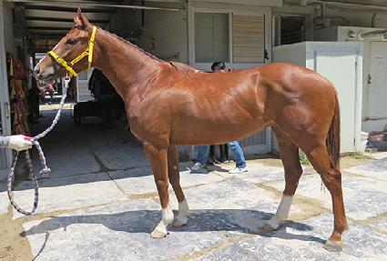 ��Űũ��� ����