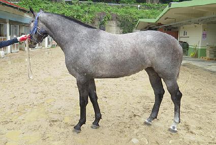 ��´��뽬 ����