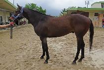 ��´�Ư�� (RAON THE TEUKGEUP) ����