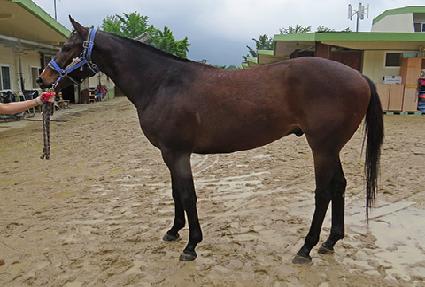 ��´�Ư�� ����