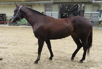 �Ʊ׸��� ����