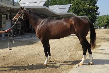 �Ѱ���ǳ ����