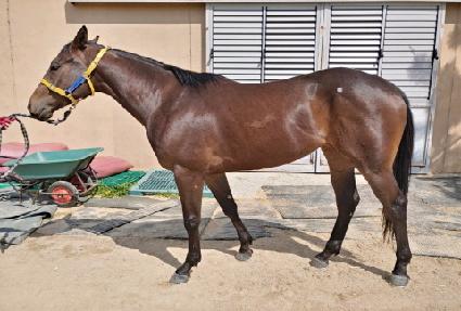 �����̸��� ����