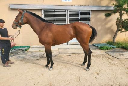 �����̴��� ����