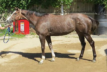 ���� ����