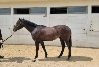 �����Ŀ� ����