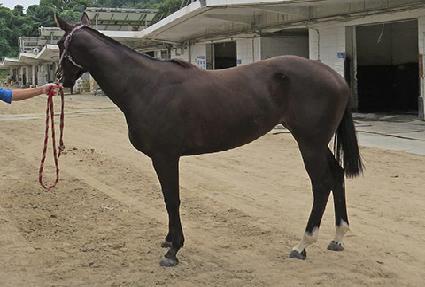 ȭ���� ����