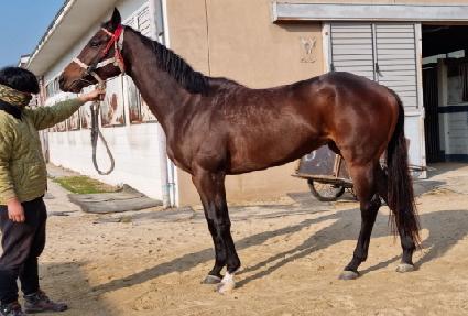 �ϴ����� ����