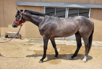 �����Ķ�� ����