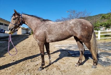 �������� ����