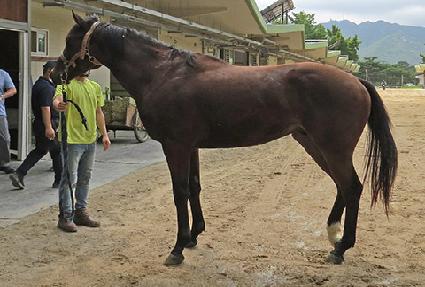 �۷ι����� ����