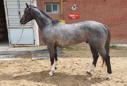 �����ְ� ����