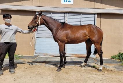 ���ø��� ����