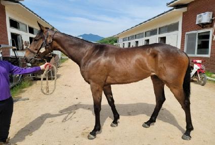 ���ڷ糪 ����