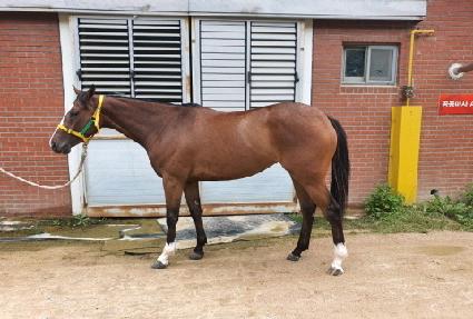 ������ ����