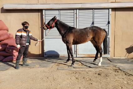 ����Ǯ����Ʈ ����