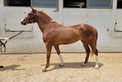 ����Ǯ���� ����