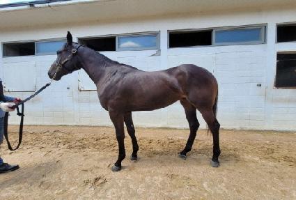 ����Ǯ������ ����