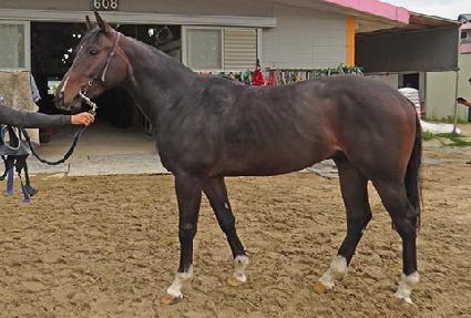 ����ȣ���� ����