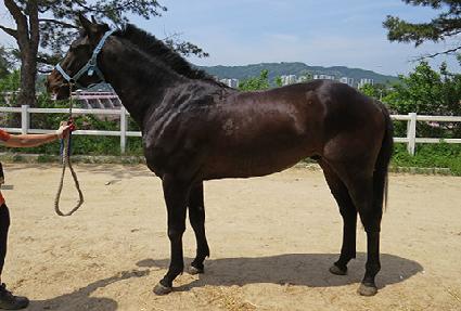 �׽����뺸 ����