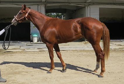 ���򳪺� ����