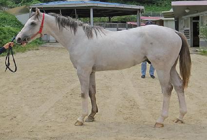 �μյ���̺� ����