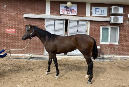 �ݺ��� ����