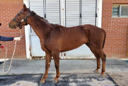 ���̿����� ����