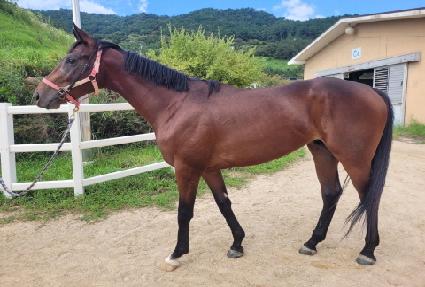 ��õ�Ŀ� ����