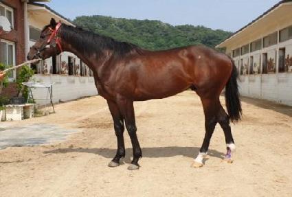 �ϴð��� ����