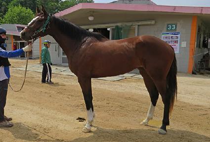 õ���Ǻ� ����