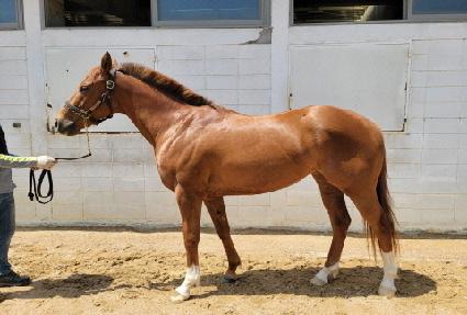 �������ġ ����