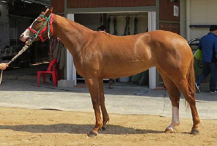 �ٷ��� ����