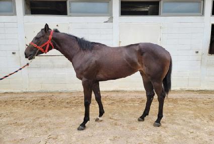 �Ҹ������Ƽ ����