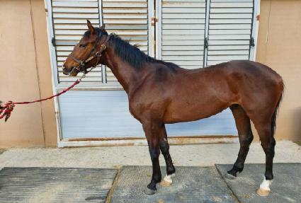 ž��Ÿ ����