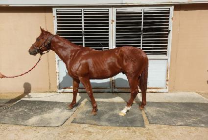 �Ź��� ����