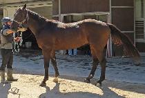 �׷���Ʈ���� (GREAT MAGIC) ����