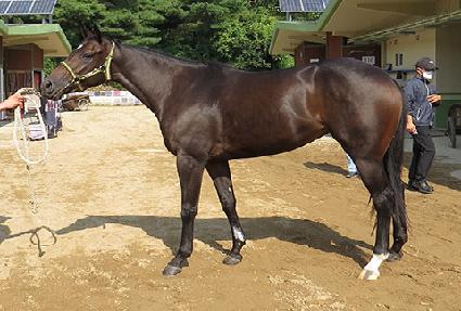 �����幮 ����