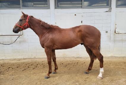 ����Ծ� ����