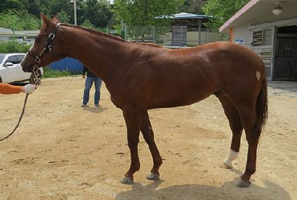 �Ŀ����� ����