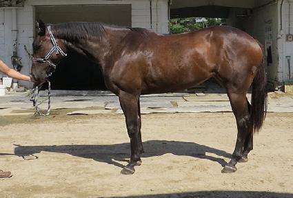 ���������� ����