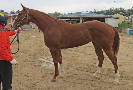 �������� ����