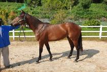 �÷��׸��� (FLOWING RIVER) ����