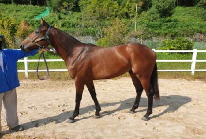 �÷��׸��� ����