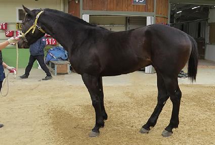 �������� ����